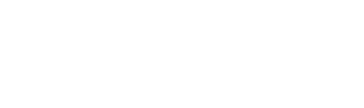 light logo